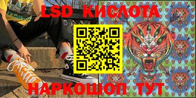 молекула духа Будённовск