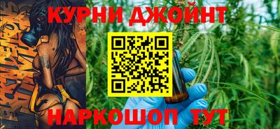 молекула духа Будённовск
