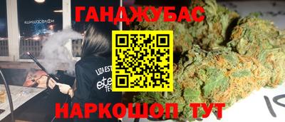 молекула духа Будённовск