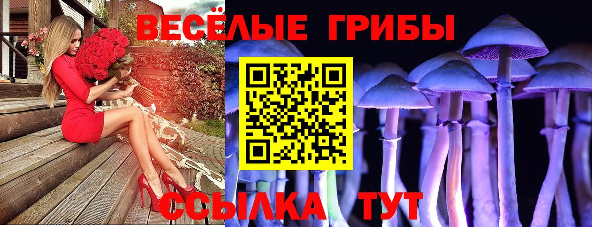 где купить   Псилоцибиновые грибы прущие грибы  Владикавказ  Вход с VPN  Галлюциногенные грибы GOLDEN TEACHER 
